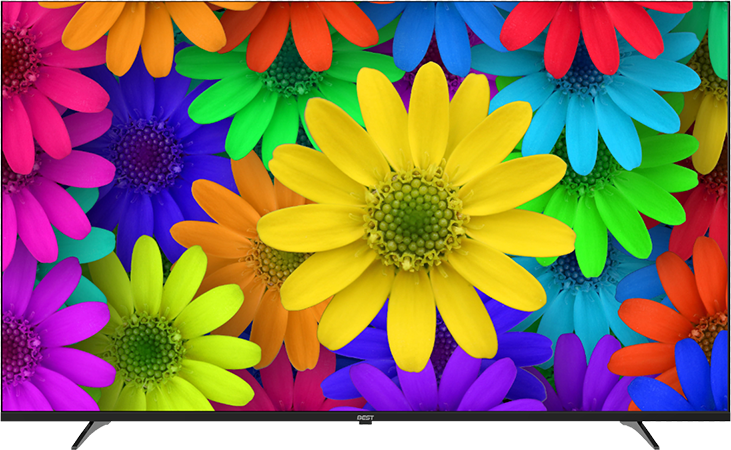 تلویزیون 65اینچ هوشمند QLED  - مدل BQS65